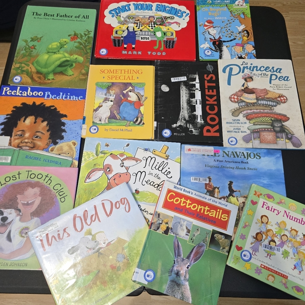 Children's Hard Cover Book Lot Of 13